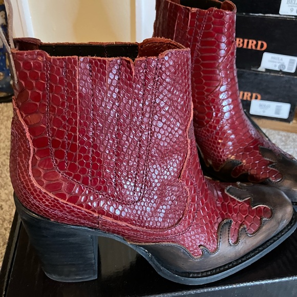 Freebird by Steven “Paula” Booties – Size 8 – Red/Brown Croc – EUC - Picture 6 of 12